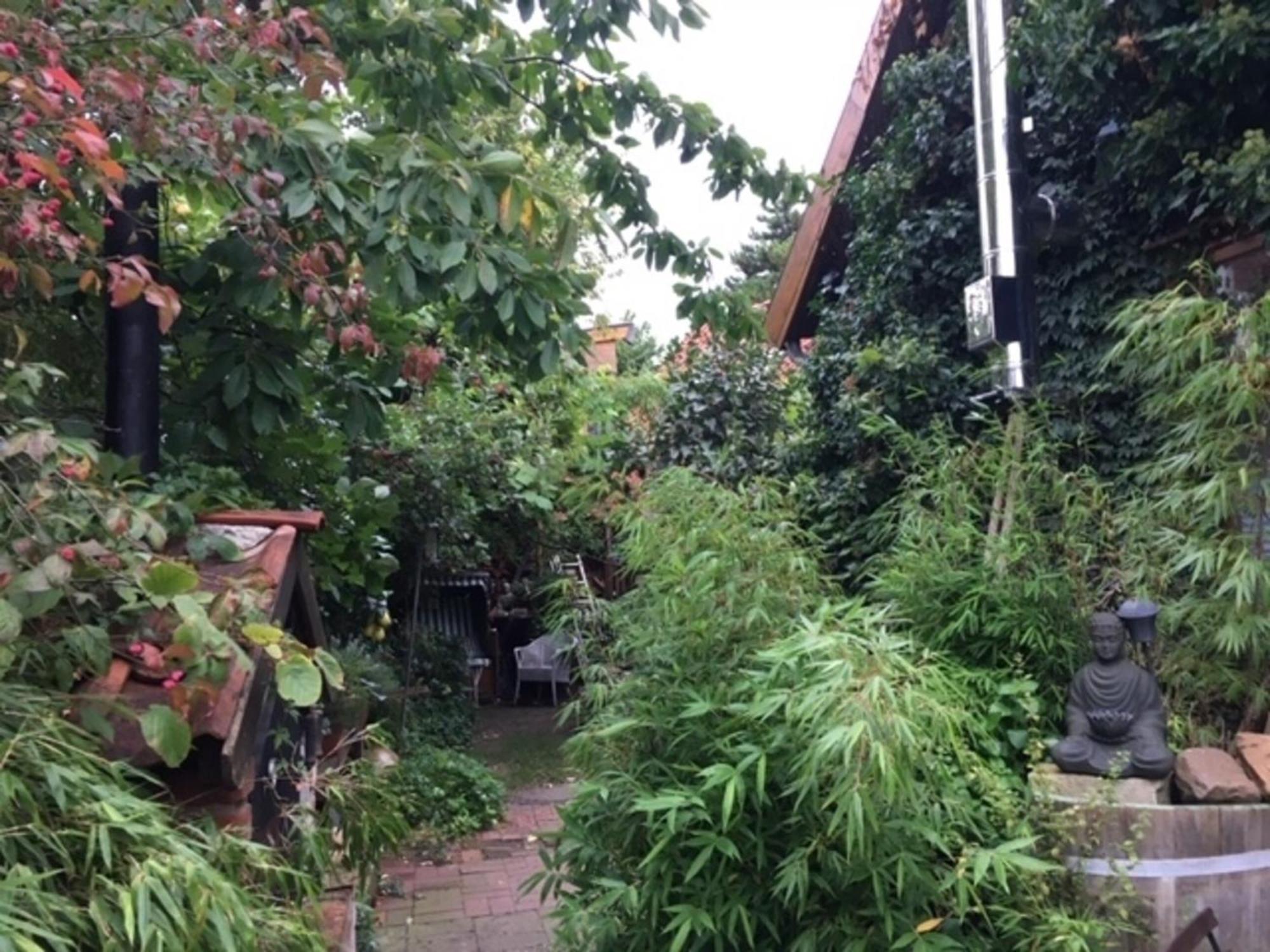 Grosse Hobbithoehle Mit Gemeinschaftsgarten Neustadt am Rübenberge Exteriör bild