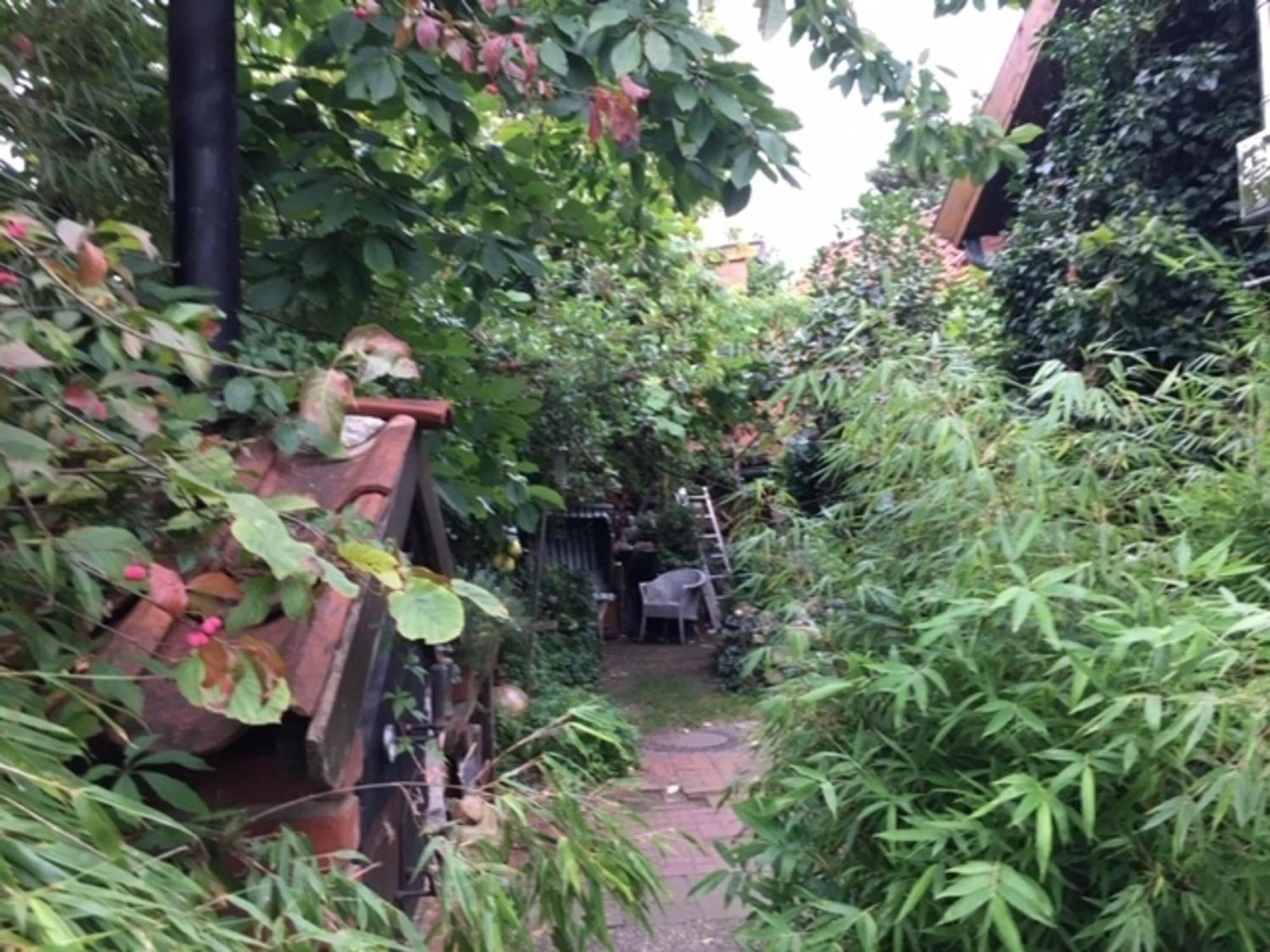 Grosse Hobbithoehle Mit Gemeinschaftsgarten Neustadt am Rübenberge Exteriör bild